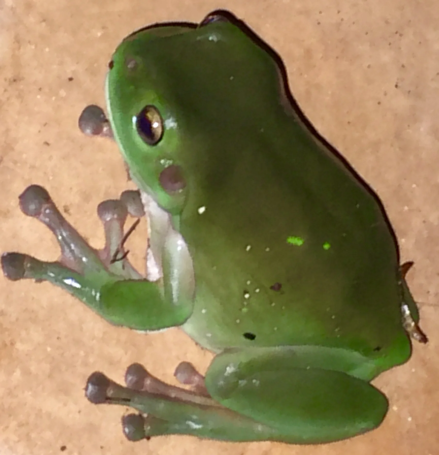 Deb's personal journey