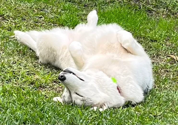 Deb's personal moments